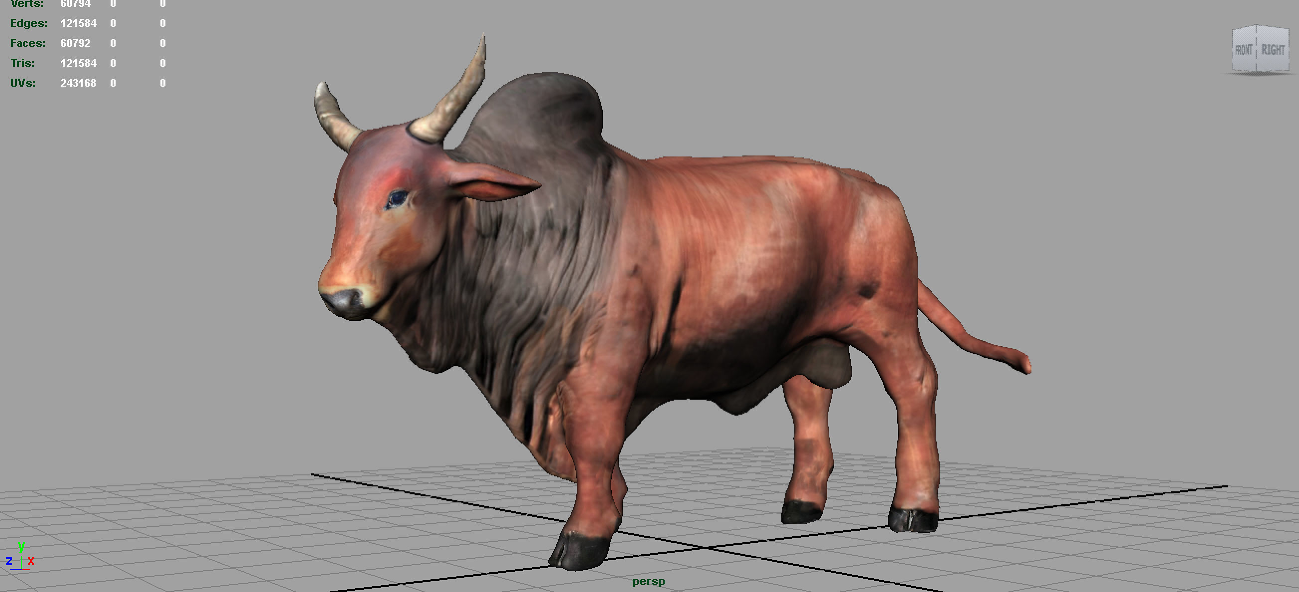 SACRED COW 3D model_2
