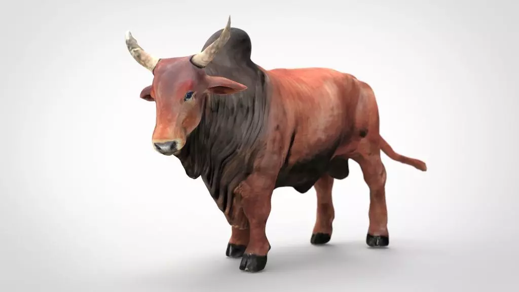 SACRED COW 3D model_0