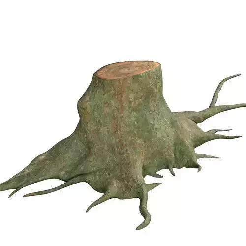TreeRoot rigged model