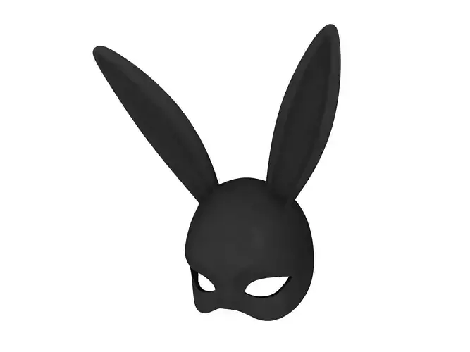 Rabbit Mask 3D model