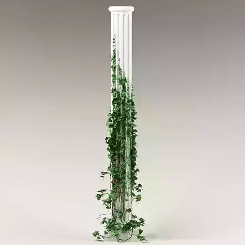 Plant and column 04