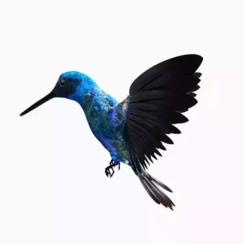 hummingbird flying in air