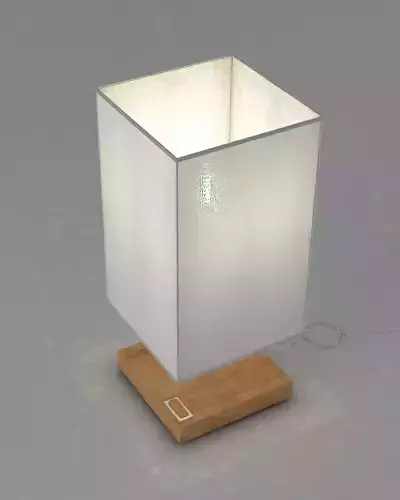 elegant stylish lamp