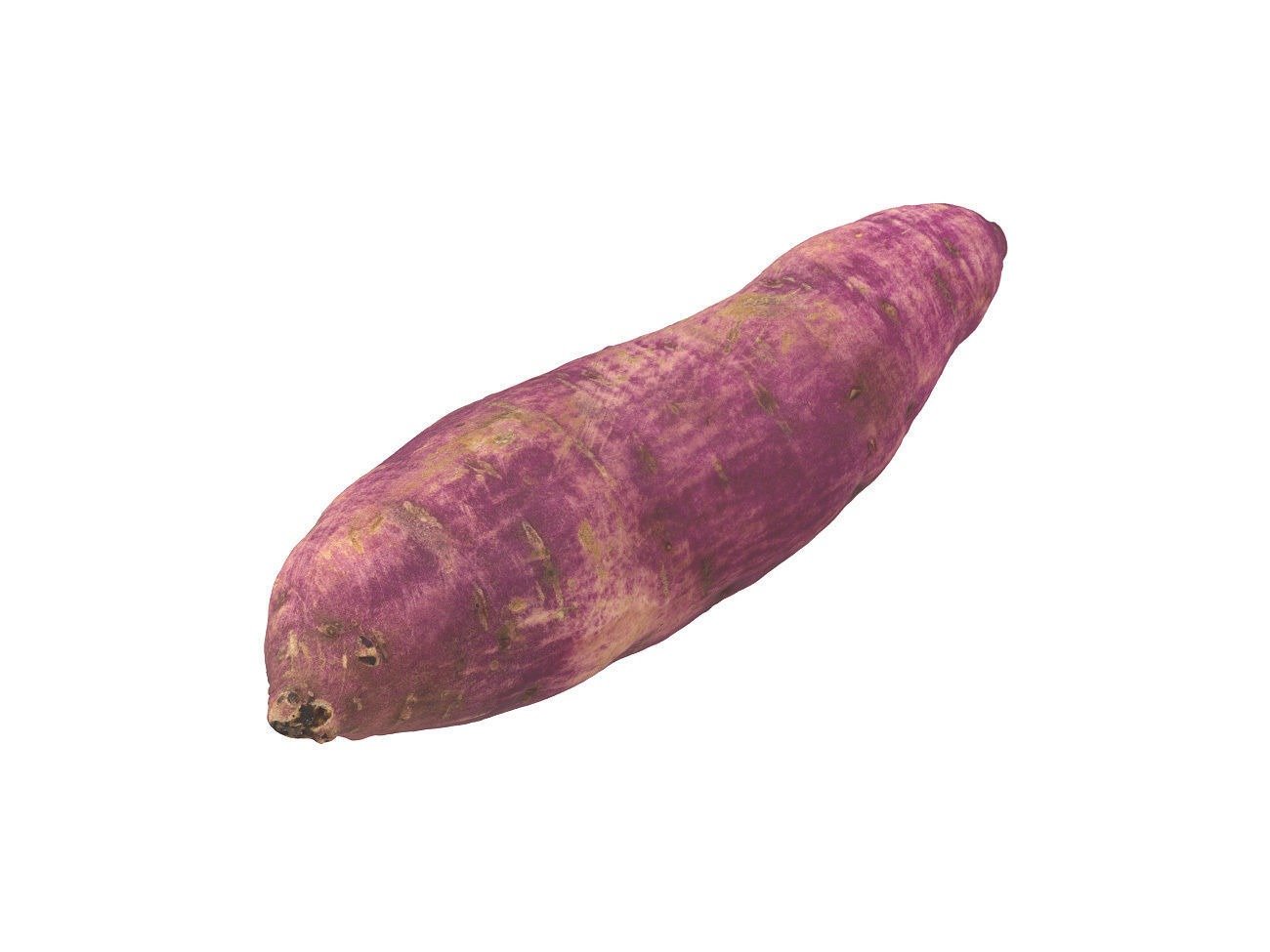 Photorealistic Sweet Potato 3D Scan 2 3D model_5