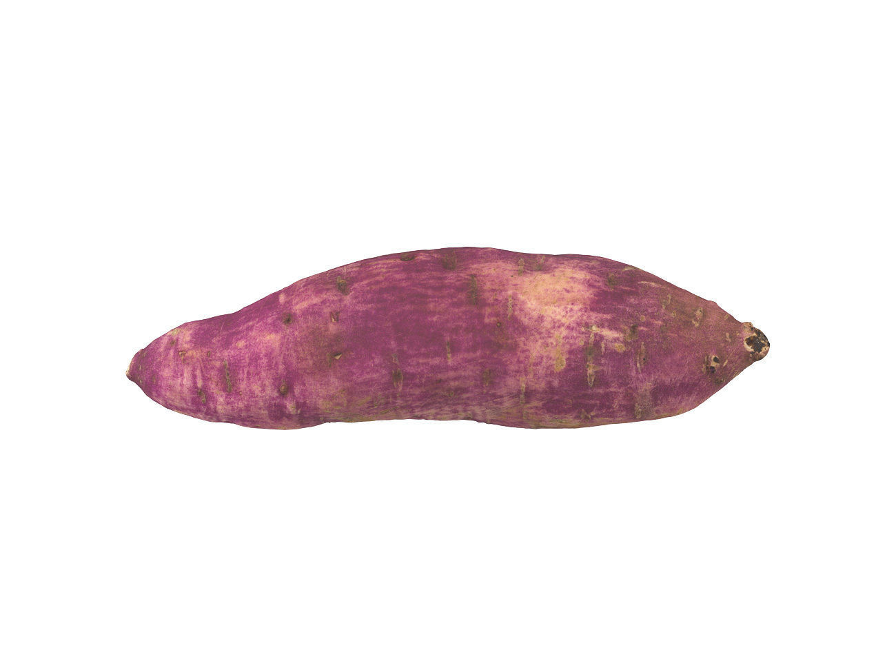 Photorealistic Sweet Potato 3D Scan 2 3D model_1