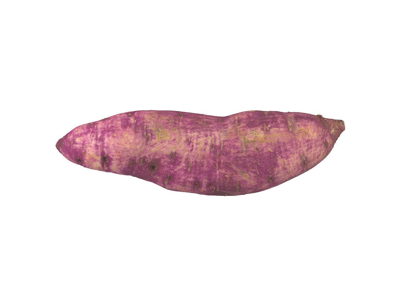 Photorealistic Sweet Potato 3D Scan 2 3D model_4
