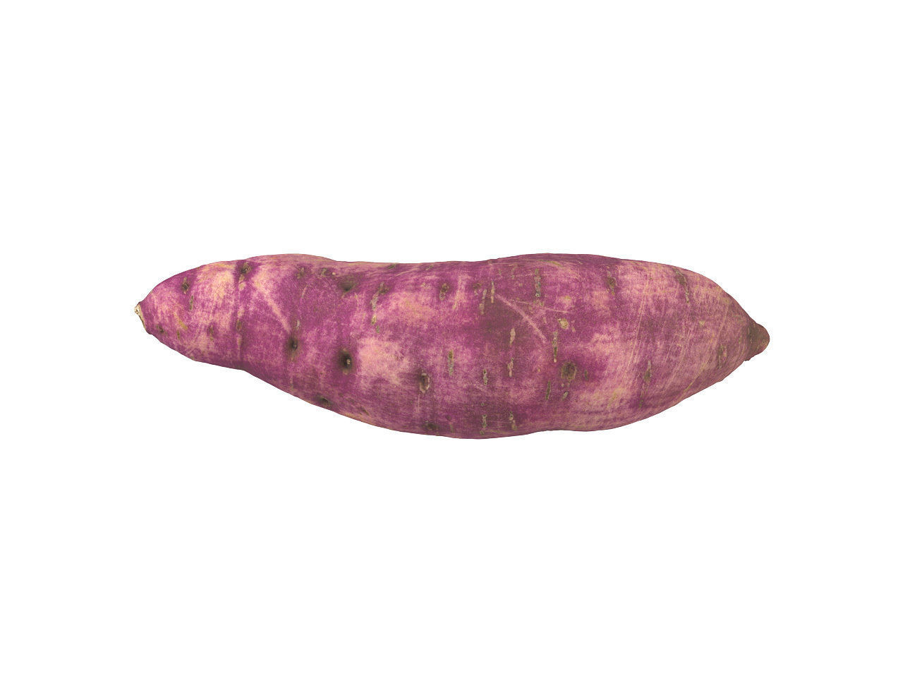 Photorealistic Sweet Potato 3D Scan 2 3D model_3
