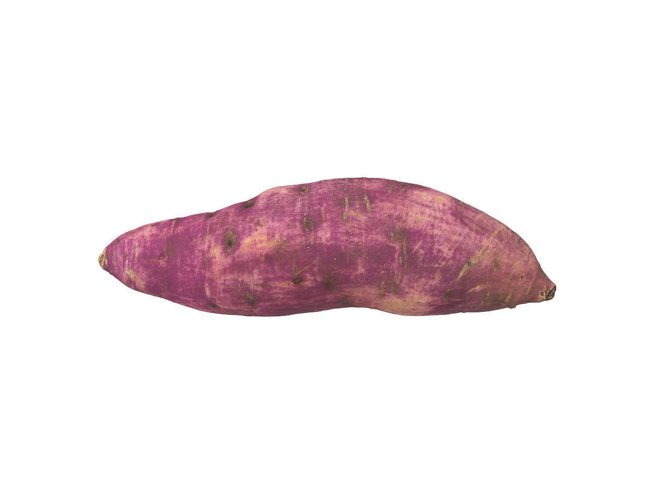 Photorealistic Sweet Potato 3D Scan 2 3D model_2