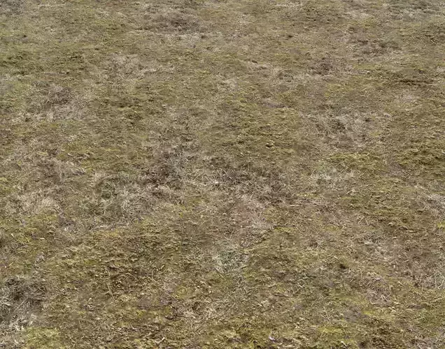 Tundra terrain texture 4 PBR Texture
