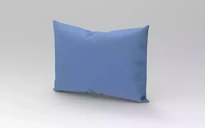Cushion