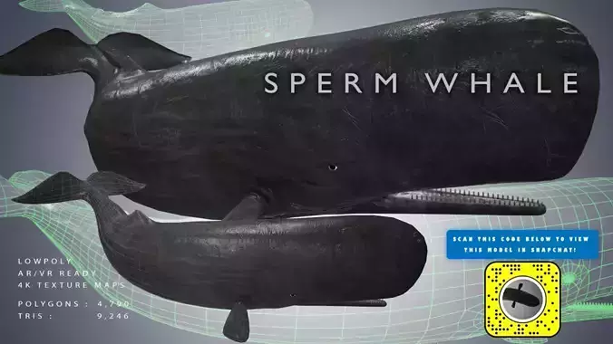 Sperm Whale