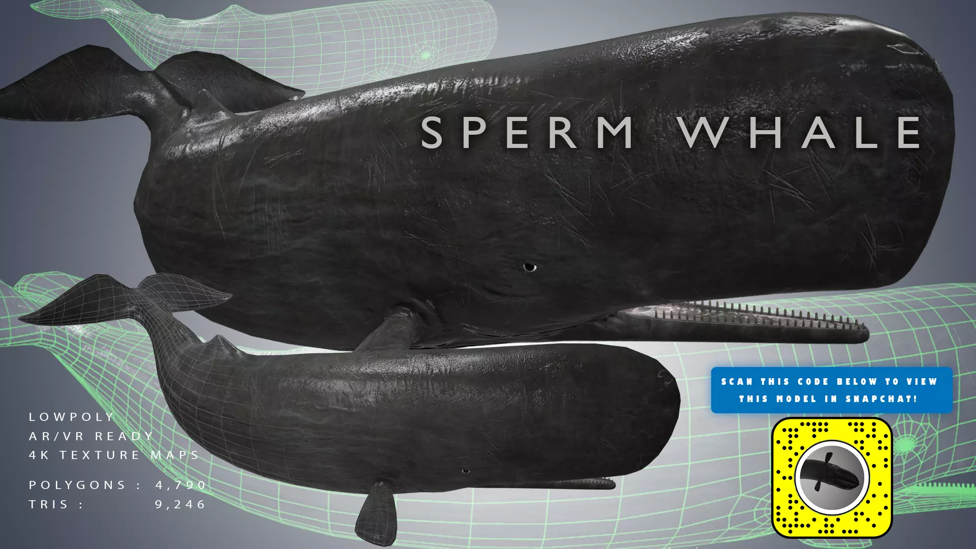 Sperm Whale Low-poly 3D model_0