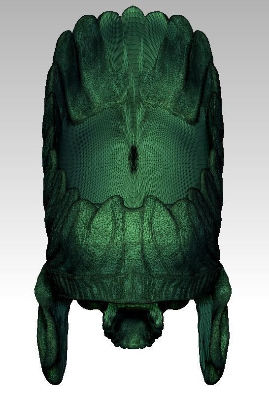 Detailed Indian Skull Chief Ring 3D print model_5