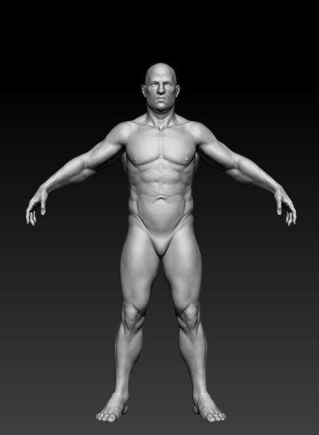Middle Aged Man 3D model_2