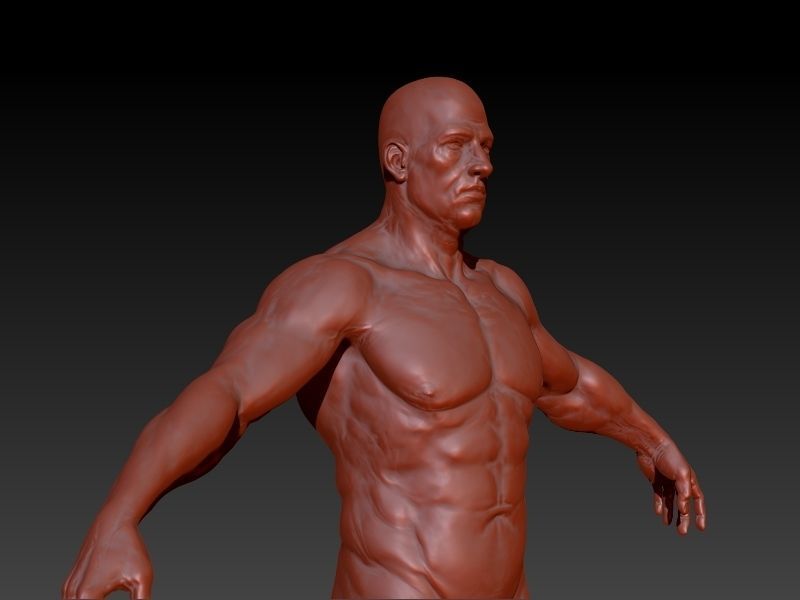 Middle Aged Man 3D model_7