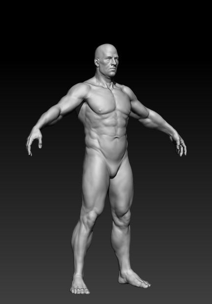 Middle Aged Man 3D model_3