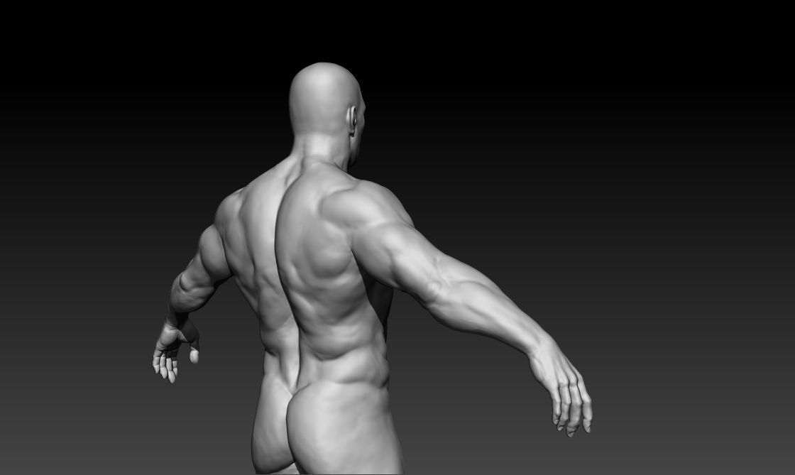 Middle Aged Man 3D model_1