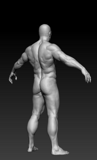 Middle Aged Man 3D model_4