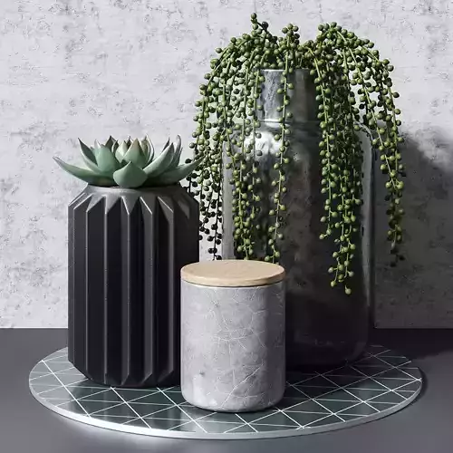 Decor set 2 three vases with succulents 3D model