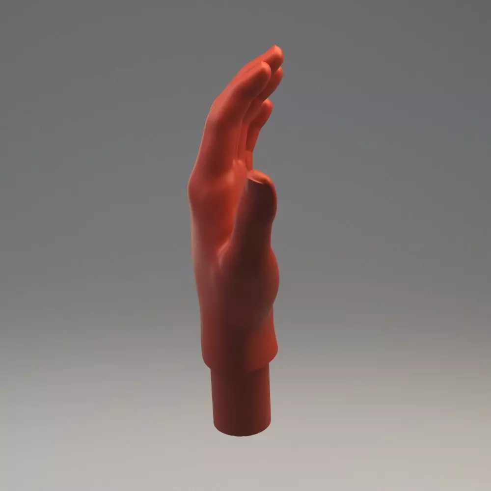Hand Model 01 3D model 3D print model_0
