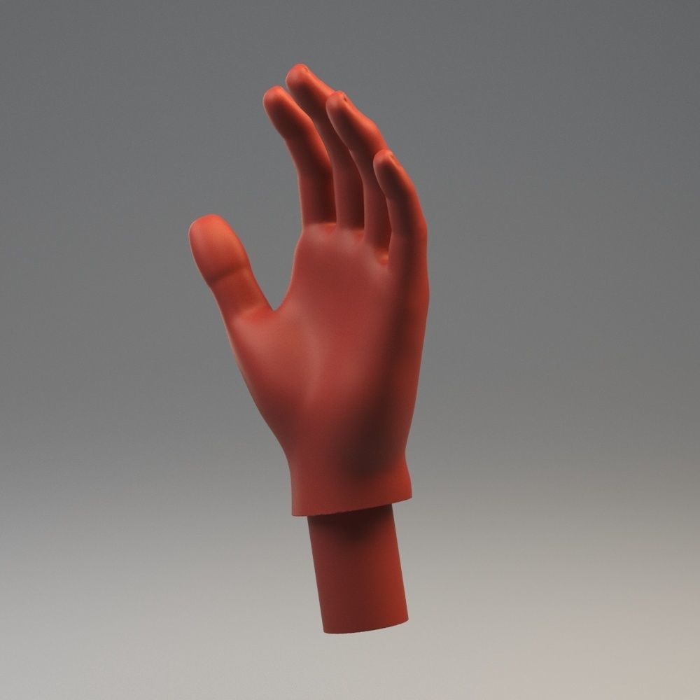 Hand Model 01 3D model 3D print model_2