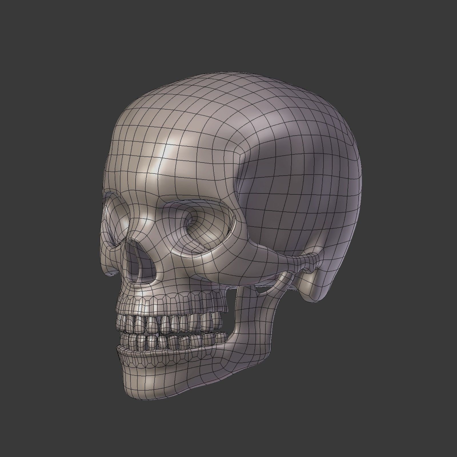 Skull Low-poly 3D model_5