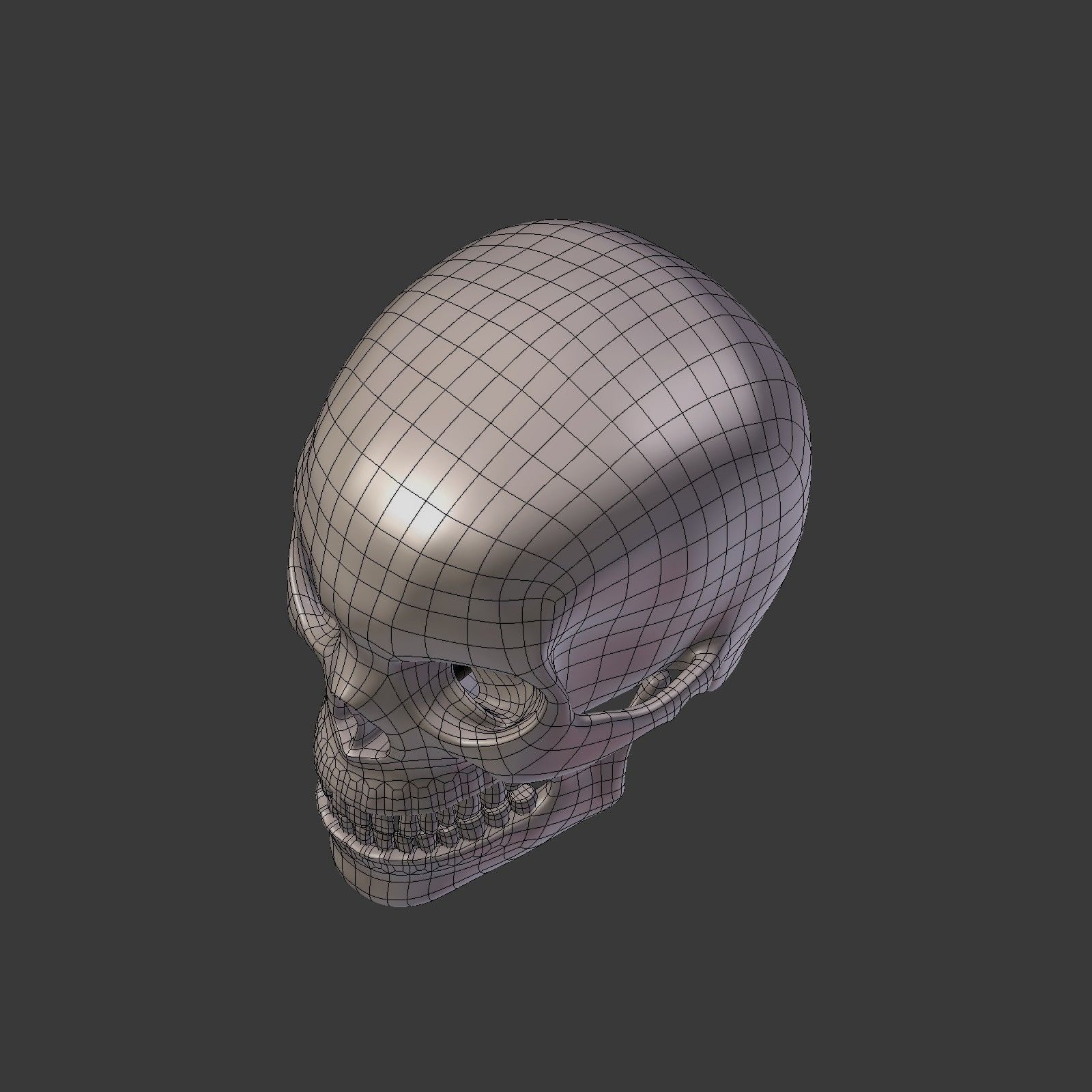 Skull Low-poly 3D model_13