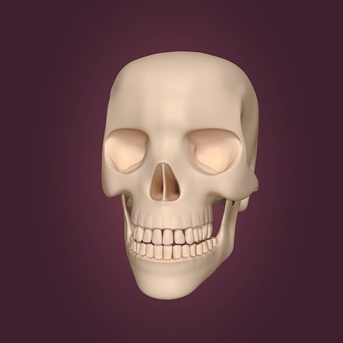 Skull Low-poly 3D model