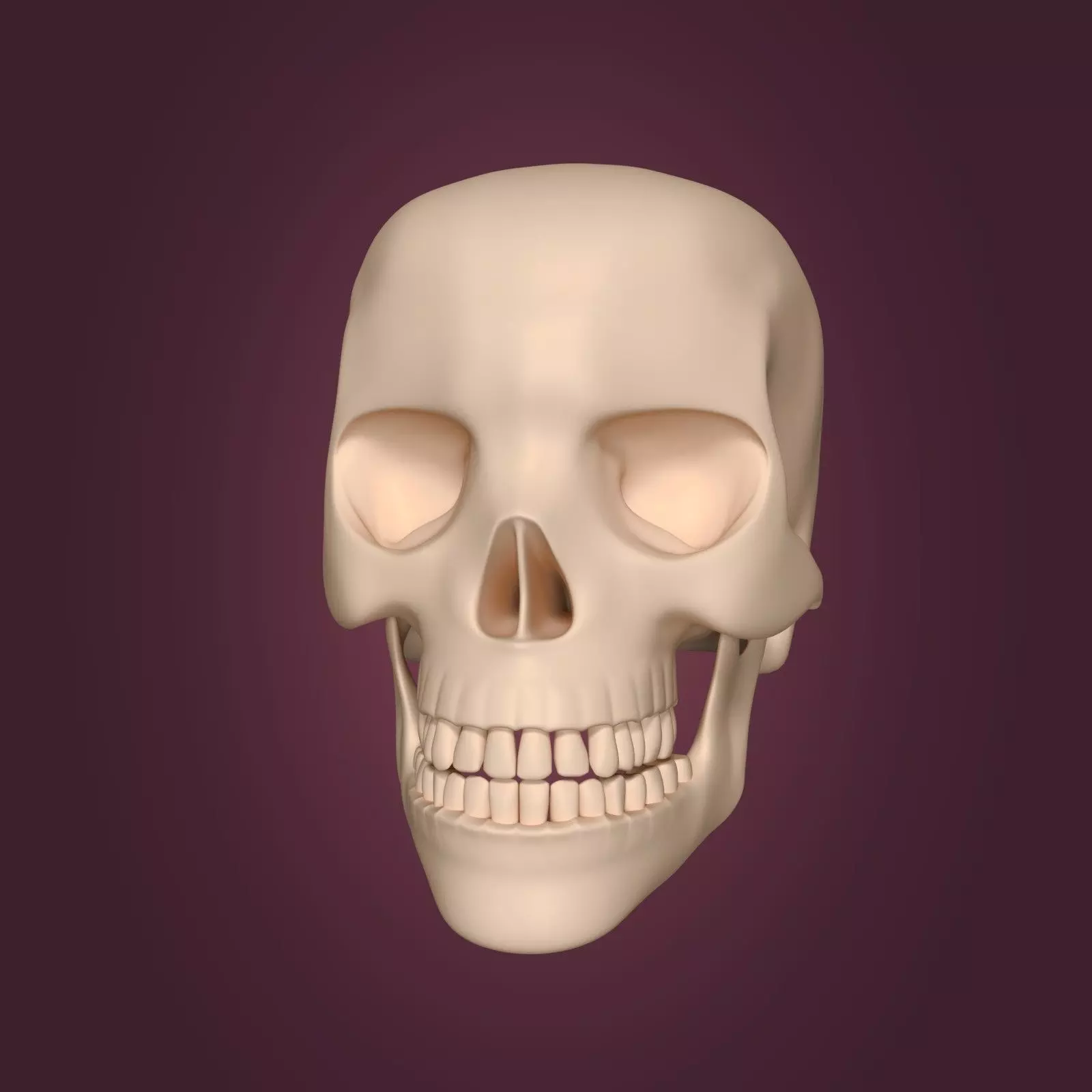 Skull Low-poly 3D model_0