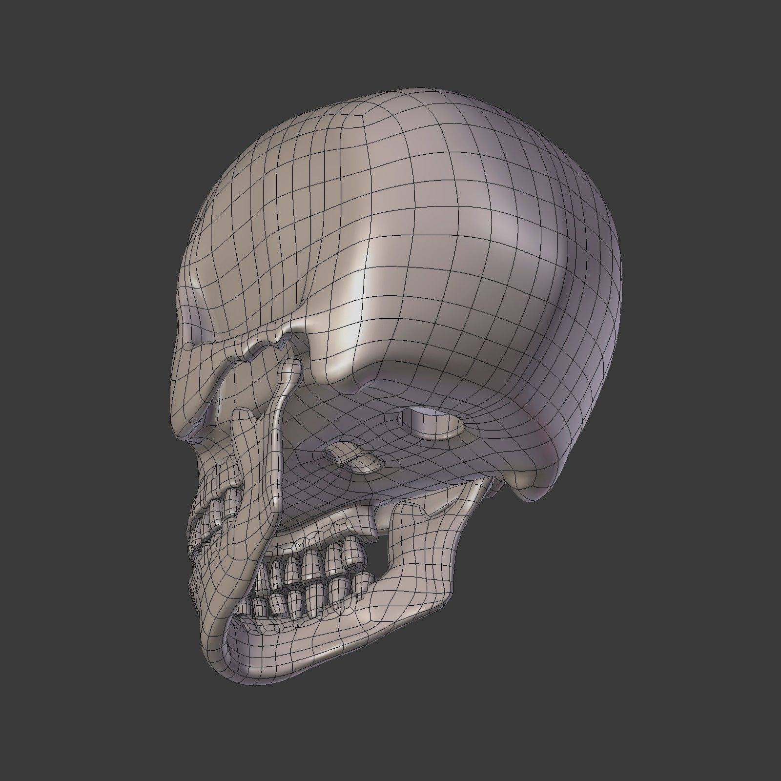 Skull Low-poly 3D model_11