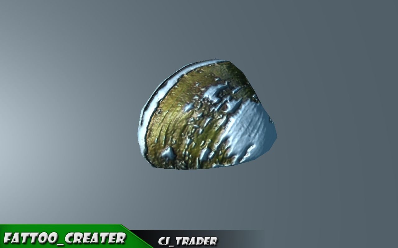 Lowpoly Under Water Shell Collection Pack 3d model Low-poly 3D model_6
