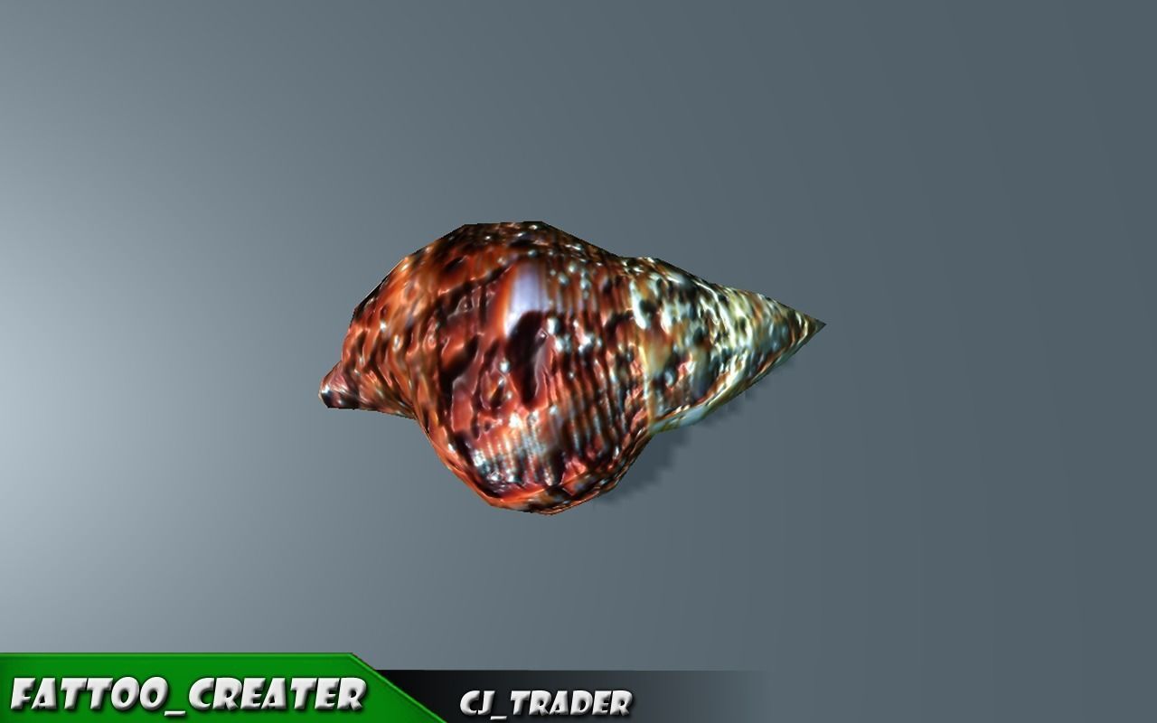 Lowpoly Under Water Shell Collection Pack 3d model Low-poly 3D model_8