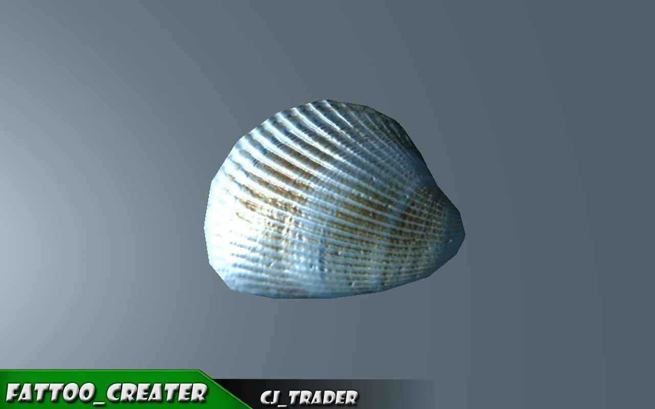 Lowpoly Under Water Shell Collection Pack 3d model Low-poly 3D model_5