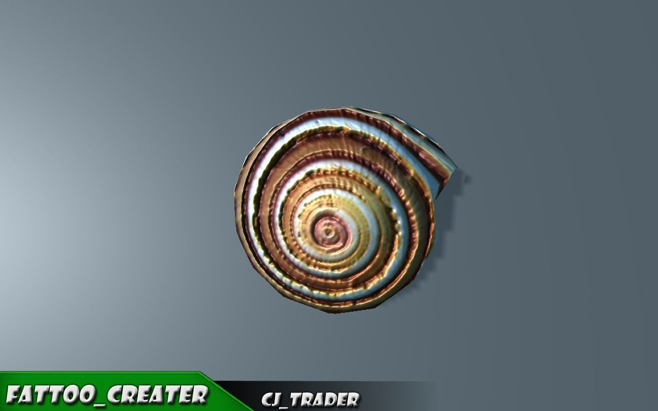 Lowpoly Under Water Shell Collection Pack 3d model Low-poly 3D model_2