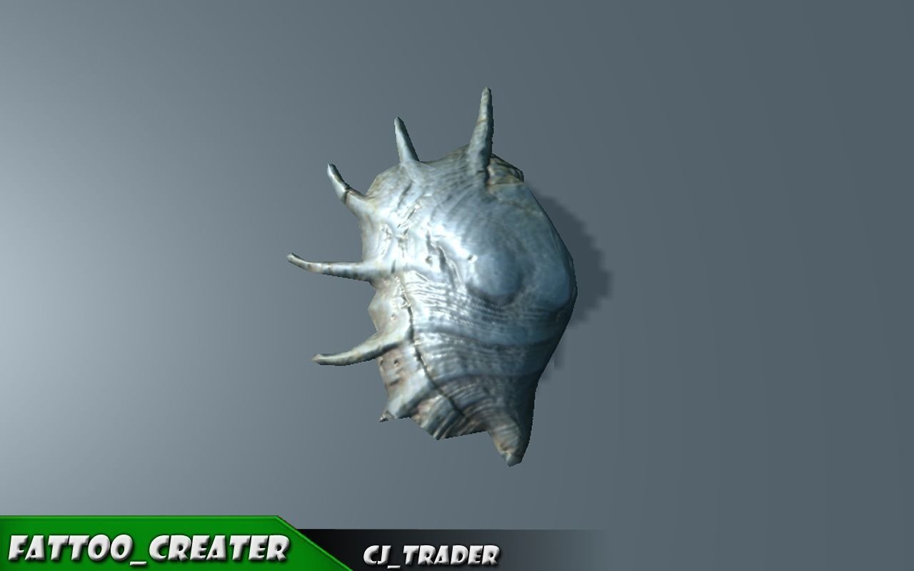 Lowpoly Under Water Shell Collection Pack 3d model Low-poly 3D model_11