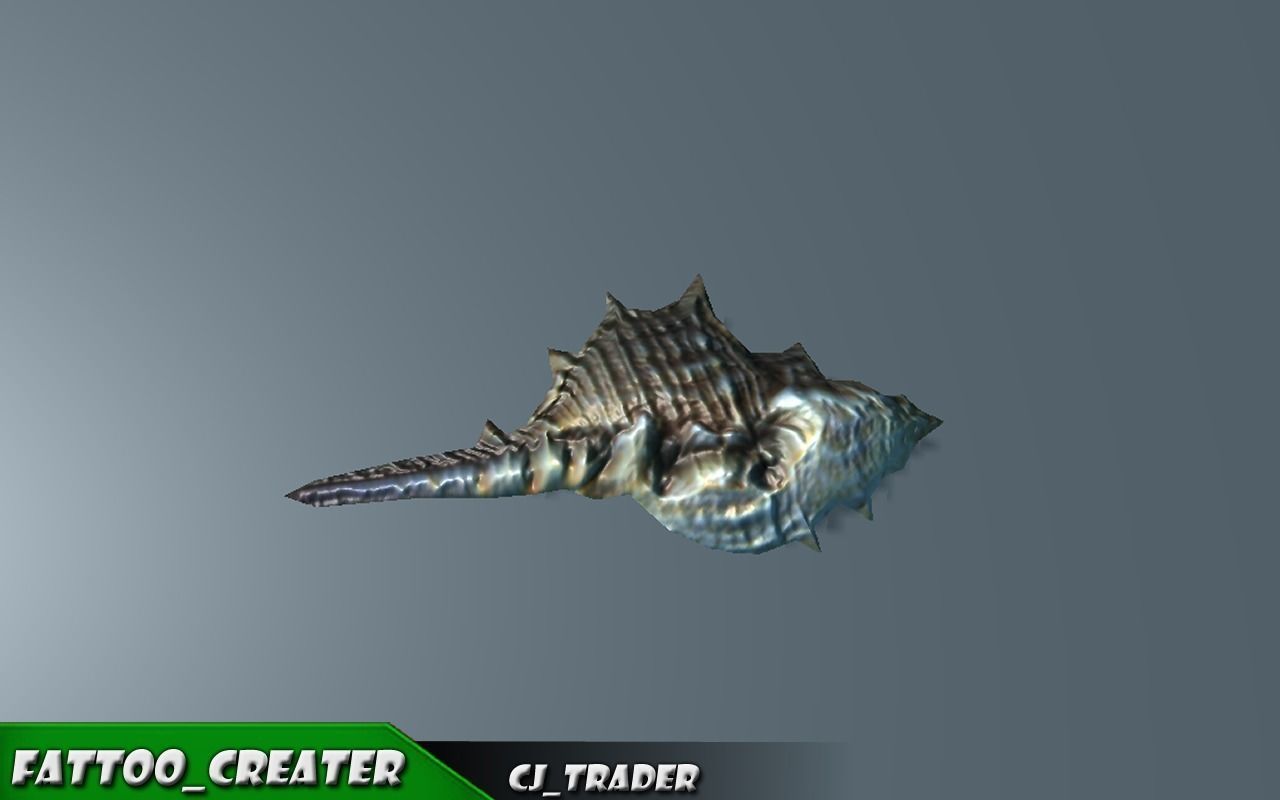 Lowpoly Under Water Shell Collection Pack 3d model Low-poly 3D model_12