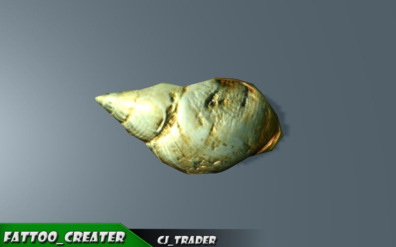 Lowpoly Under Water Shell Collection Pack 3d model Low-poly 3D model_4