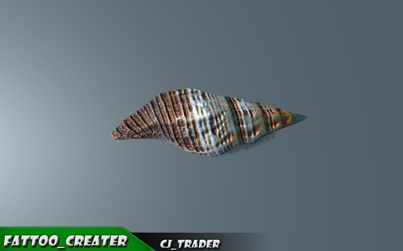 Lowpoly Under Water Shell Collection Pack 3d model Low-poly 3D model_13