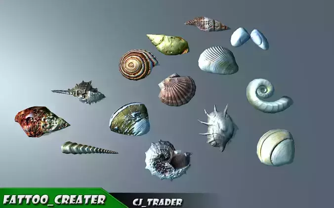 Lowpoly Under Water Shell Collection Pack 3d model Low-poly 3D model