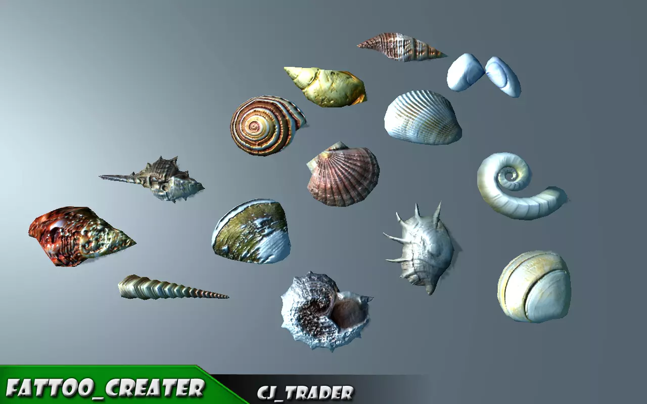 Lowpoly Under Water Shell Collection Pack 3d model Low-poly 3D model_0