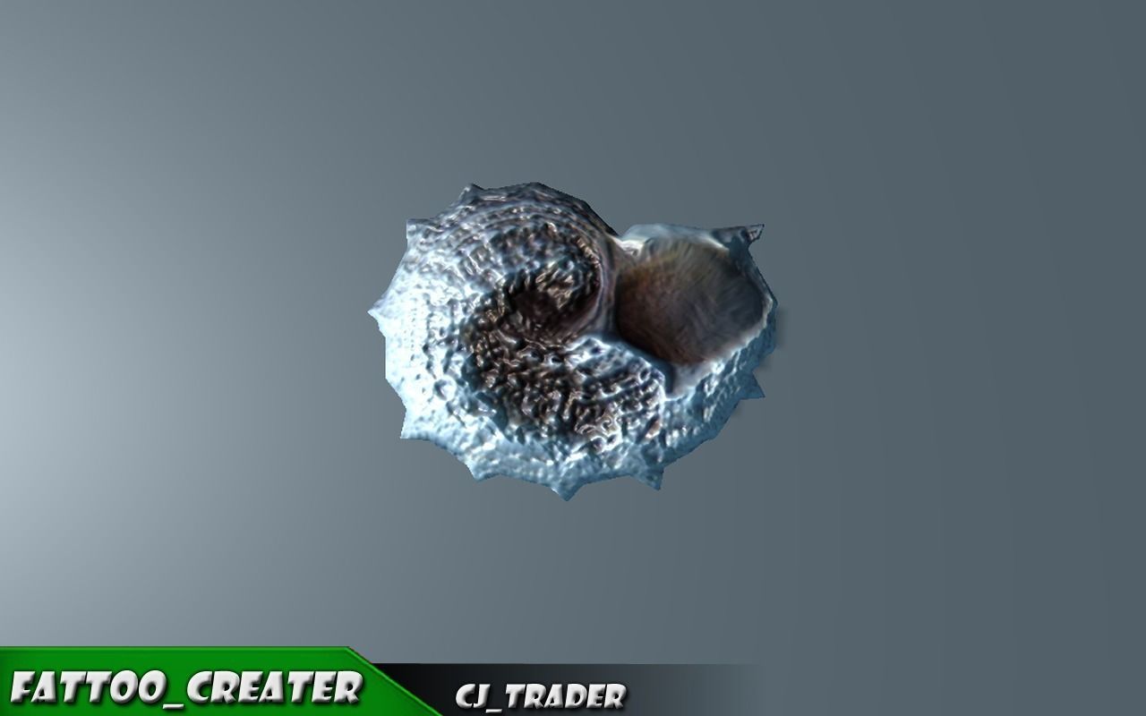 Lowpoly Under Water Shell Collection Pack 3d model Low-poly 3D model_9