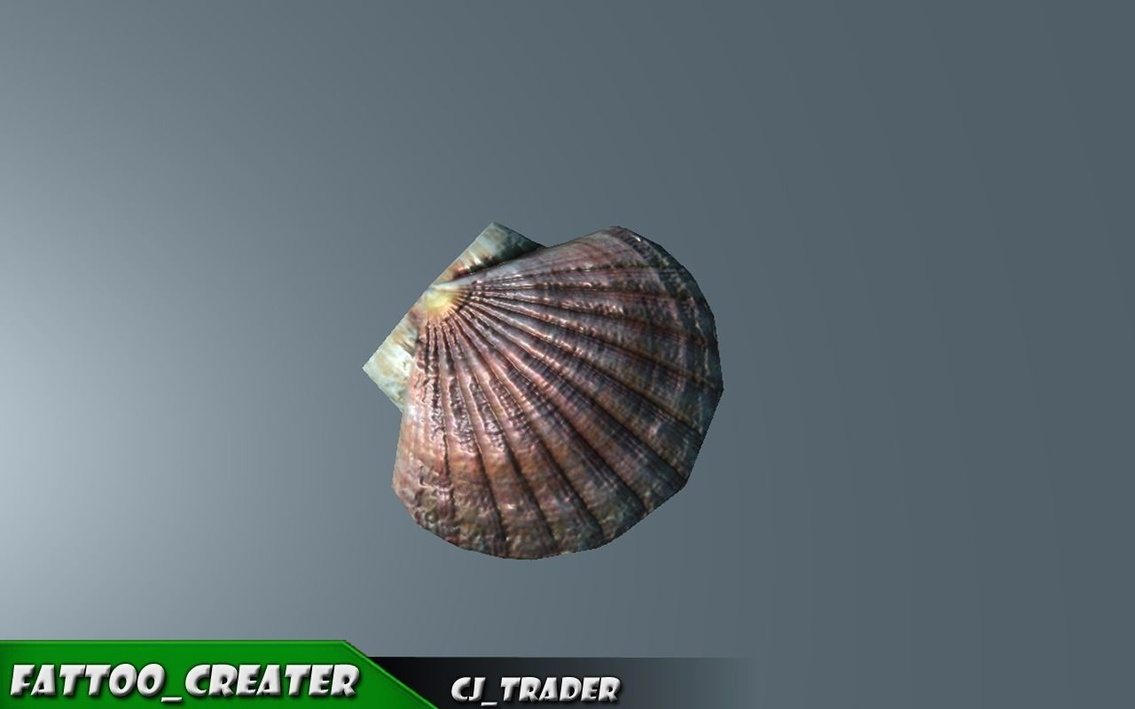 Lowpoly Under Water Shell Collection Pack 3d model Low-poly 3D model_1
