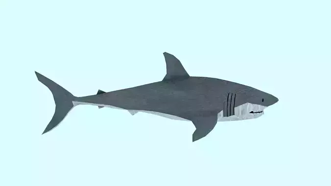shark made in blender Low-poly 3D model