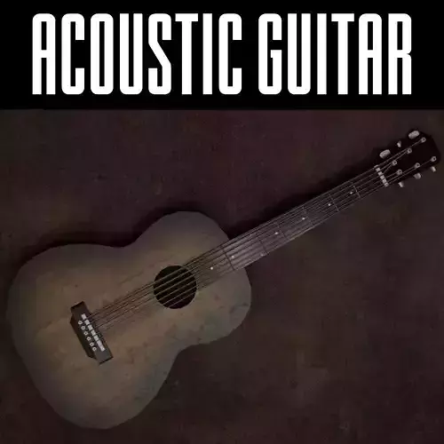 Acoustic Guitar