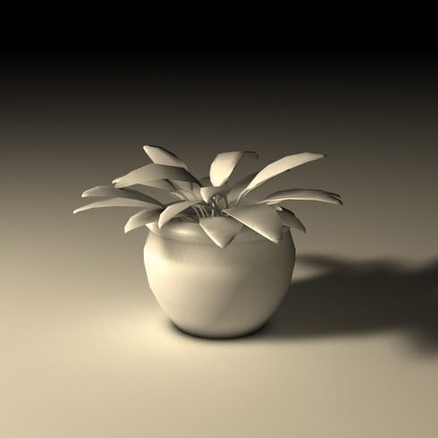 Plant in pot 3D model_5