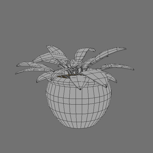 Plant in pot 3D model_6