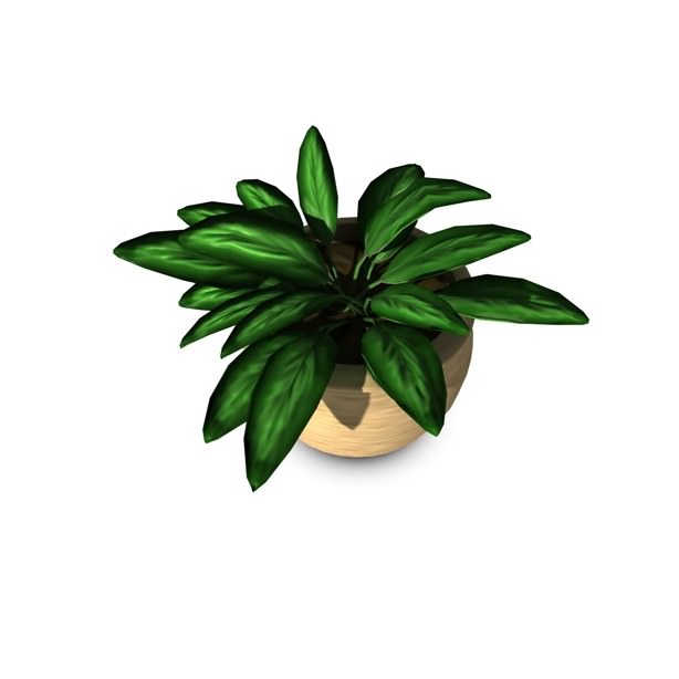 Plant in pot 3D model_3