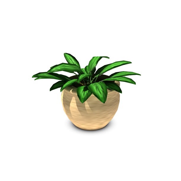Plant in pot 3D model_1