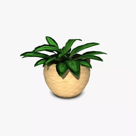 Plant in pot 3D model_0