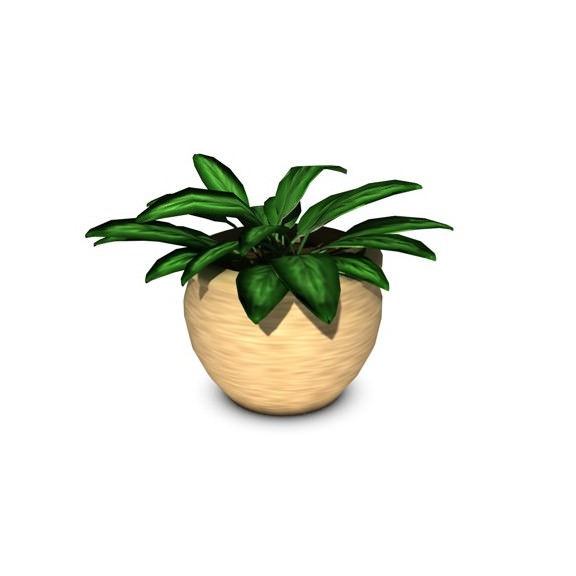 Plant in pot 3D model_2